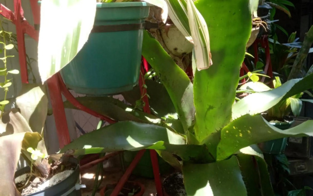 Se hospede num Cantinho Gourmet