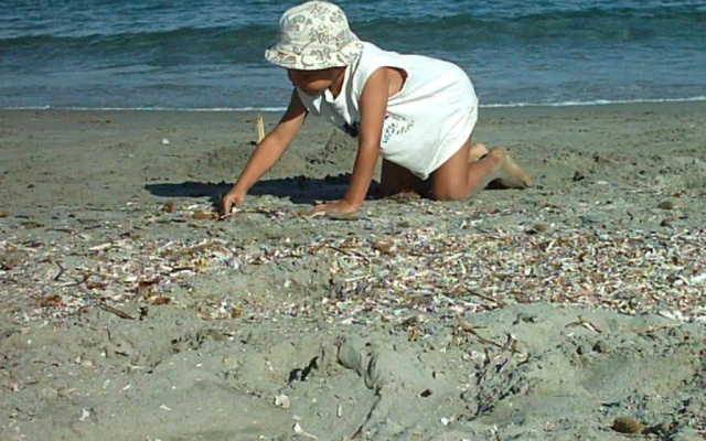 Hôtel restaurant U.Pozzu