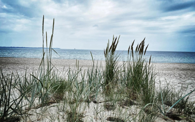 Ferien-im-Duenenhaus Lasse