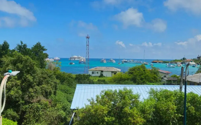 Flightless Cormorant