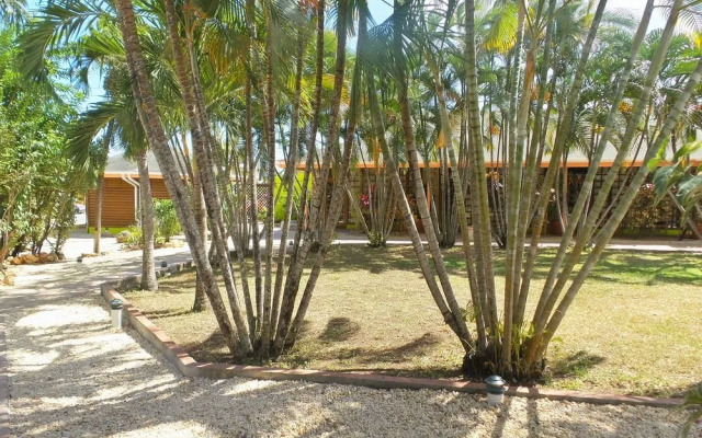 Toucan Inn
