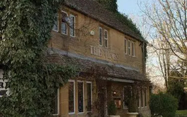 The Vines
