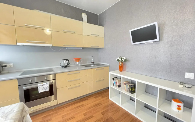 AparTum Apartments on Nikolay Semyonov Street