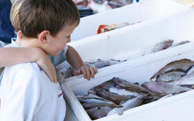 Gîte Ambleteuse, 3 pièces, 4 personnes - FR-1-376-49