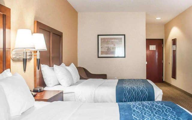 Comfort Inn And Suites Hamburg