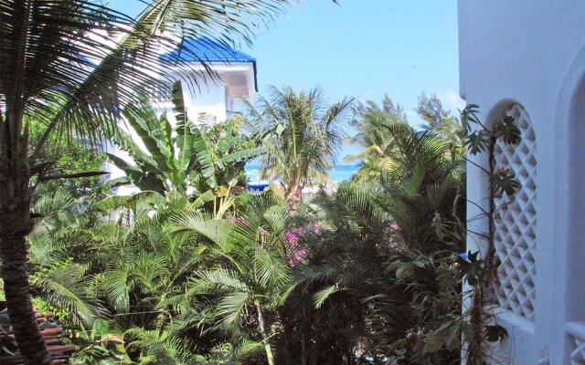 Natz Ti Ha H201 by PRP