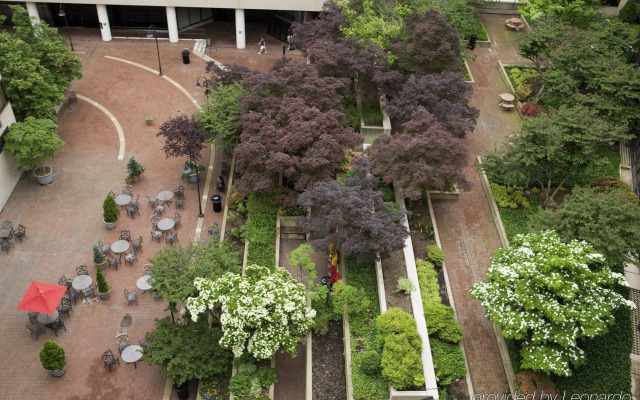 Holiday Inn Washington Capitol - Natl Mall by IHG