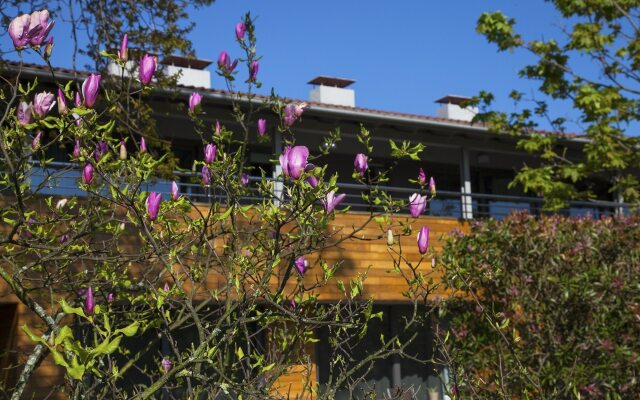 Apartamentos Casona de la Paca