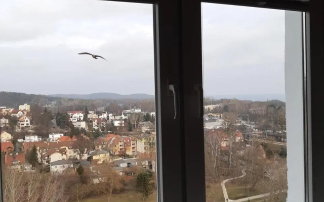 Viewpoint