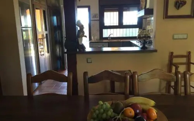 Mil Palmeras