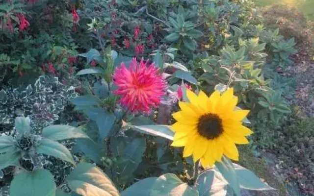 Chambres d'hôtes Ty Ruz