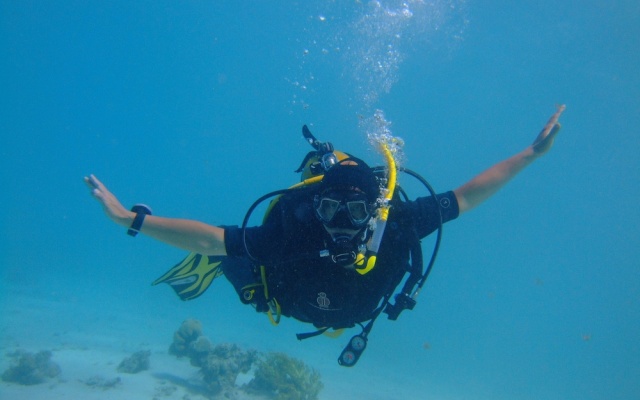 New DaVinci Beach & Diving Resort