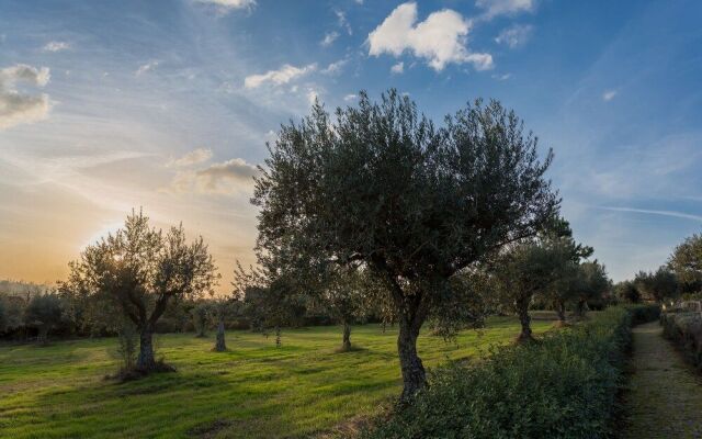 Quinta do Chão da Vinha