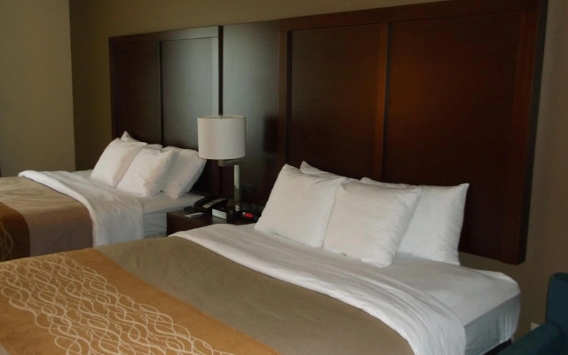 Comfort Inn & Suites