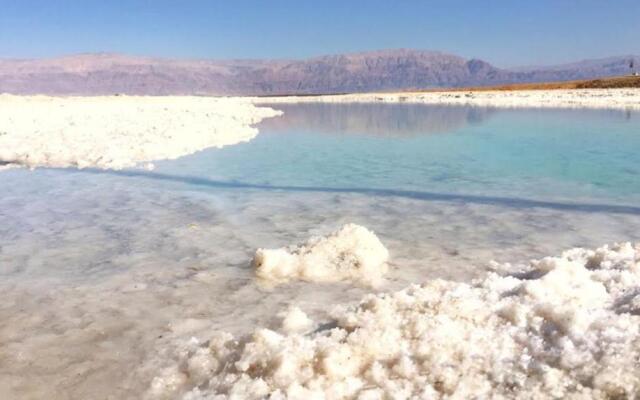Rose Dead Sea Neve Zohar
