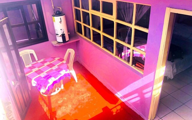 Amazing House of View