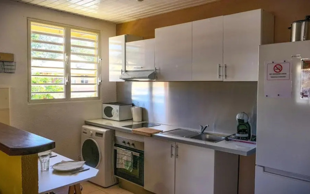 Appartement Cayenne Chic Design Élégant
