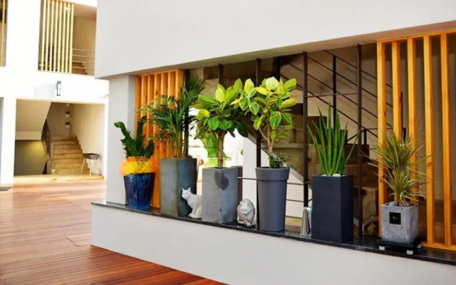 Busan 1872 Pangsion Pension