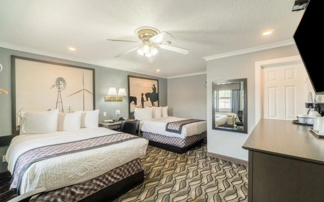 Purple Sage By OYO Snyder TX