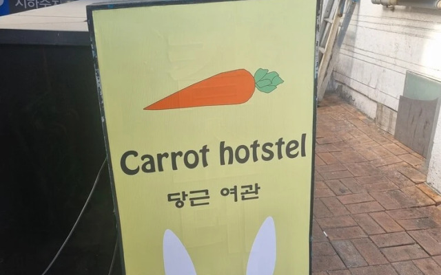 carrot hostel