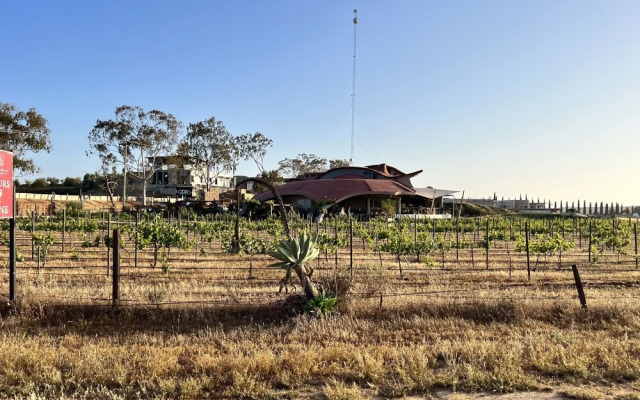 Ecovino Valle de Guadalupe