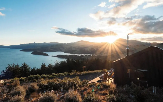 Kūkupa Matairangi at Akaroa Lavender