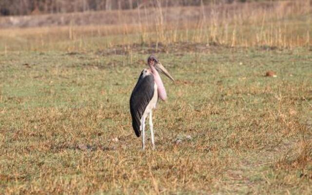 Chaminuka Lodge and Nature Reserve