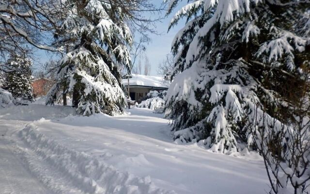 I Cedri B&B