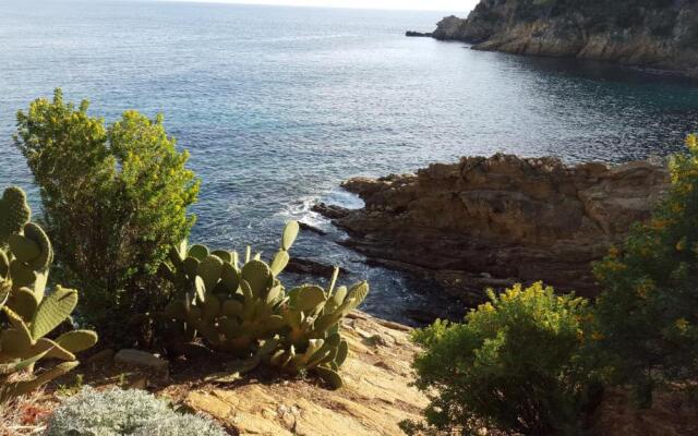 65 Rue Pierre Rameil Appartement