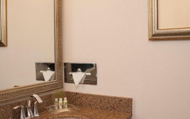 Holiday Inn Chicago West - Itasca