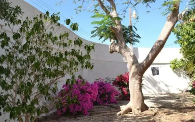 Guesthouse Aruba