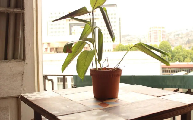 Hostal Fiorenttina - Hostel