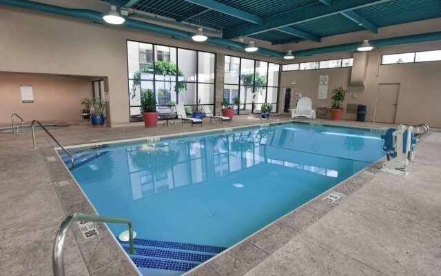 Indigo Buffalo - Amherst