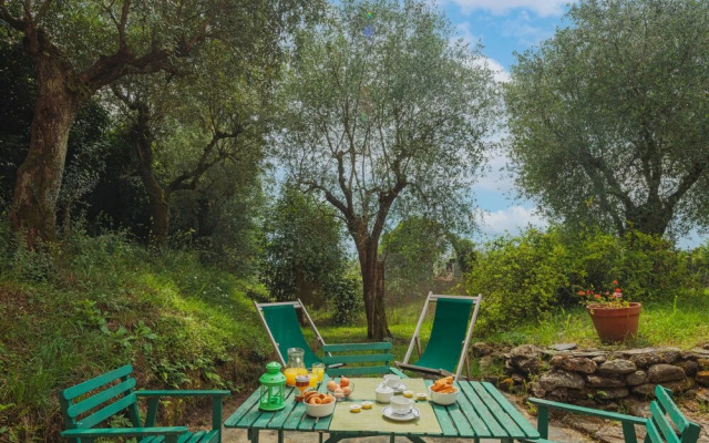 San Remigio Massa in Massa