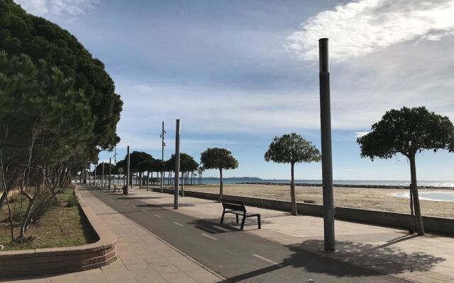 Apartamento Miramar Vistas Frontales Mar - 124B