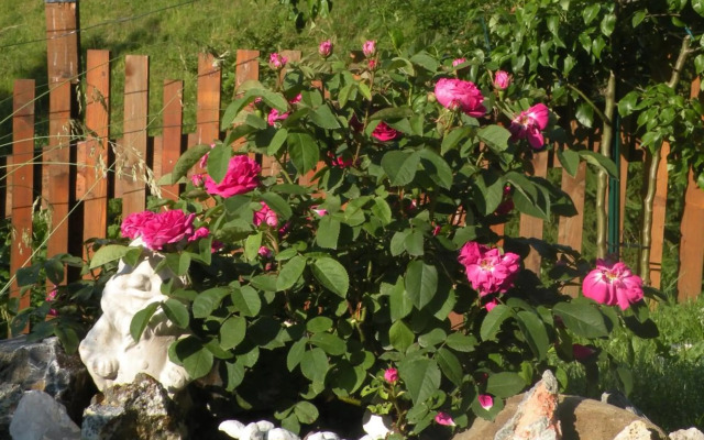 Birnbacher-appartement