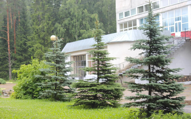 База отдыха Пушкиногорье