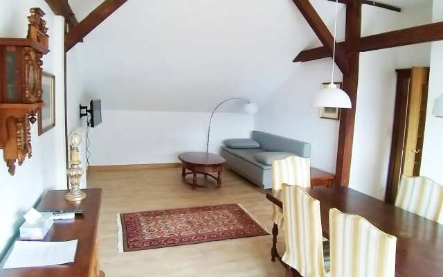 Atelier Apartment with Traunsee Lake view