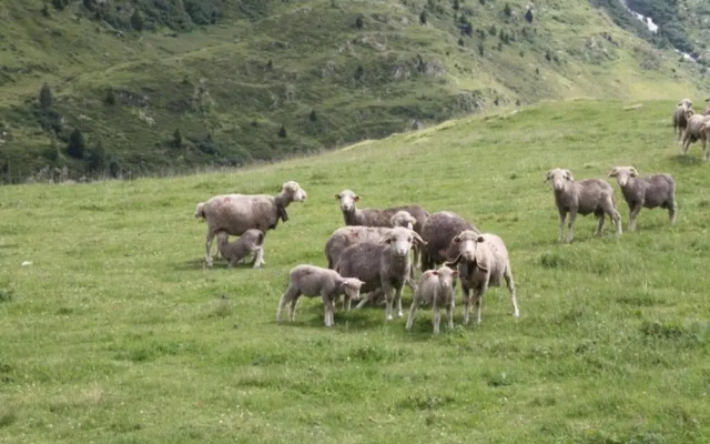 Studio in Saint-sorlin-d\"arves