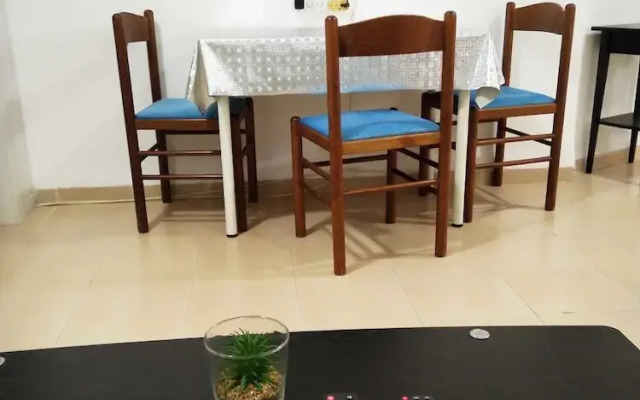 Luxury Apartment near the Rambam
