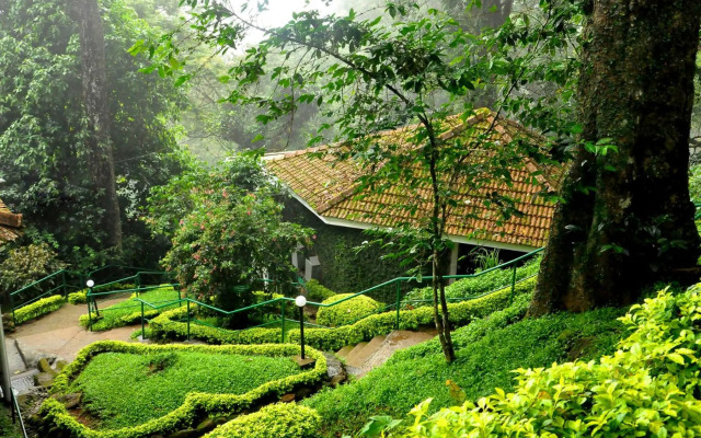 The Tall Trees Munnar