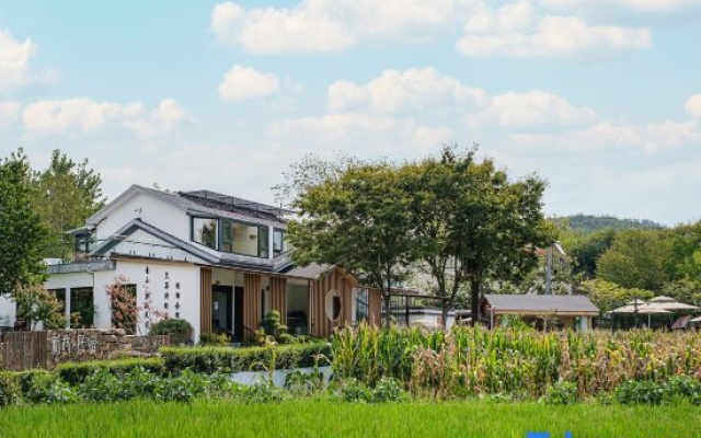 Xingu Guesthouse