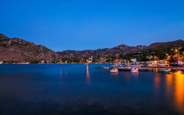 Palmetto Resort Hotel