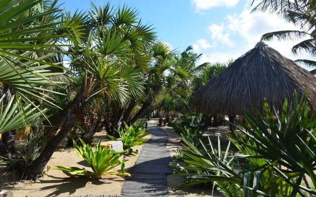 Mango Beach Lodge