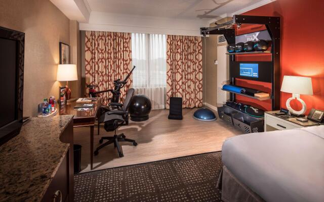 Hilton Anatole