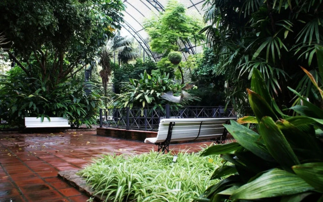 SingularStays Carmen 3