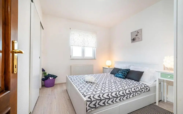 Villa Maslina in Sikovo