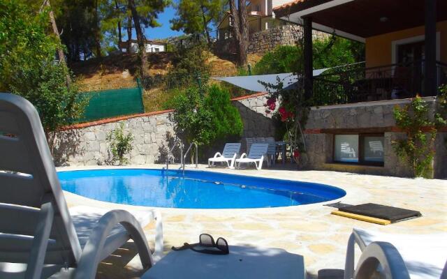 Villa Olive 7