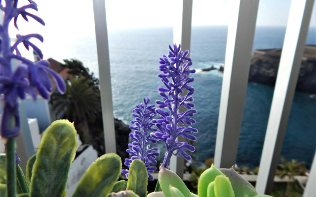 Apartamento Monis Natura