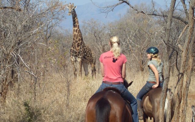 Mafigeni Safari Lodge